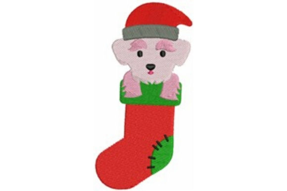 Christmas Maltese
